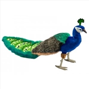 Buy Peacock 100cm