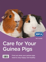 Buy Care For Your Guinea Pig