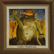 Buy Western Amphibians