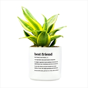 Buy Defined Planter Medium: Best Friend