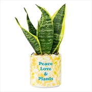 Buy Tie Dye Planter Medium: Peace Love & Plants