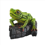 Buy Edge Tree Frog Figure