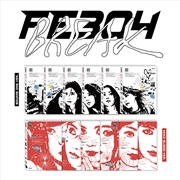 Buy Fe3o4: Break (RANDOM COVER)