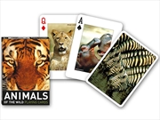 Buy Animals Of The Wild Poker