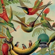 Buy Radar Keroxen, Vol.4