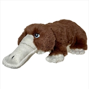 Buy Eco Platypus 28cm