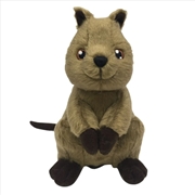 Buy Eco Quokka 25cm