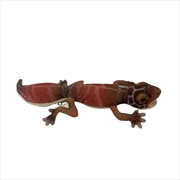Buy Gecko Beige 26cm L