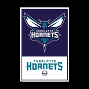 Buy NBA Charlotte Hornets - Logo