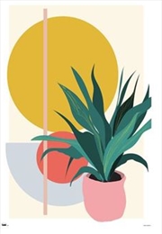 Buy Abstract Potted Plant