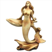 Buy Mermaid And Dolphin Resin Plaque