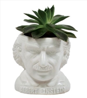 Buy Unemployed Philosophers Guild - Albert Einstein Planter