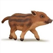 Buy Papo - Young Wild Boar Figurine