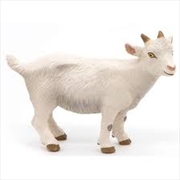 Buy Papo - White kid goat Figurine