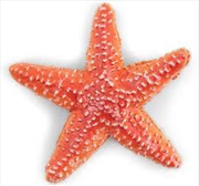 Buy Papo - Starfish Figurine