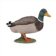 Buy Papo - Mallard duck Figurine