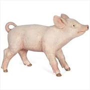 Buy Papo - Female piglet Figurine