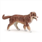 Buy Papo - Australian shepherd Figurine
