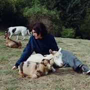 Buy End Of The World - Swamp Green