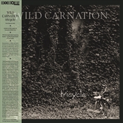 Buy Tricycle - Green