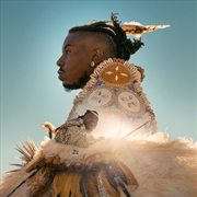 Buy Bark Out Thunder Roar Out Ligh