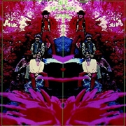 Buy Blue Mountain Eagle