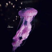 Buy El Mundo De Las Cosas