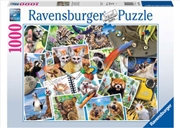 Buy A Travelers Animal Journal 1000 Piece