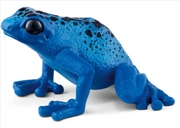 Buy Blue Poison Dart Frog