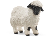 Buy Valais Blacknose Sheep