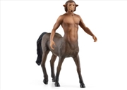 Buy Wizarding World Firenze