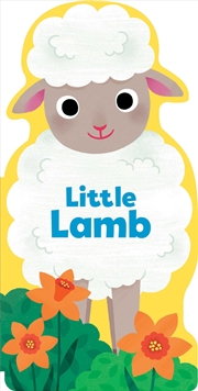 Buy Little Lamb