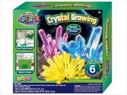 Buy Crystal Growing Kit (Bms)