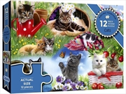 Buy Piecing Together Cats 12 Piece