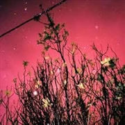 Buy I Thought This Was My Dream/Mo