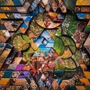 Buy Les Jardins Mystiques Vol.1