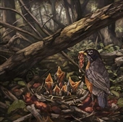 Buy Step Into The Light