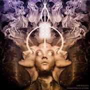 Buy Echoes From The Universe Violet