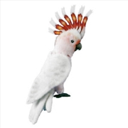 Buy Major Mitchell Cockatoo 34cm