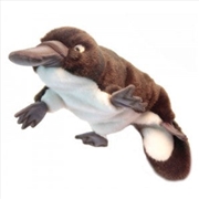 Buy Puppet Platypus 51cm