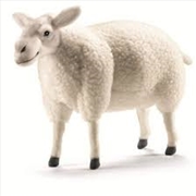 Buy Sheep Grey 35cm 