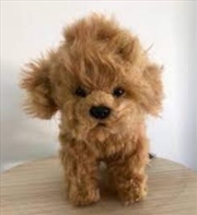 Buy Toy Poodle Tea Cup 16cm