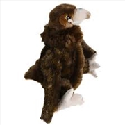 Buy Wedge Tailed Eagle 63cml