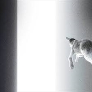 Buy Keep Looking Where The Light Comes From