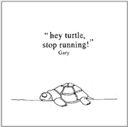 Buy Hey Turtle, Stop Running!