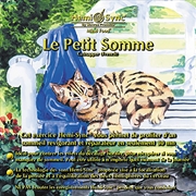 Buy Le Petit Somme  (Catnapper - French)