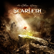 Buy The Silver Lining