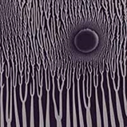 Buy Grimm Robe Demos