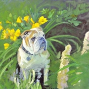 Buy Suneaters Iii: Unfathomable Darkness