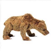 Buy Cave Bear Ursus 34cm
